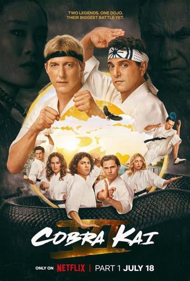Cobra Kai (TV Series 2018 ) Pósteres — The Movie Database (TMDb)