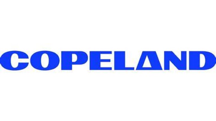 Copeland's net worth, age, wife, children, Bible, scandal