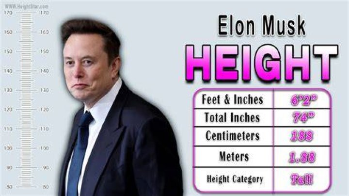 Elon Musk's Height In Feet And Its Surprising Implications