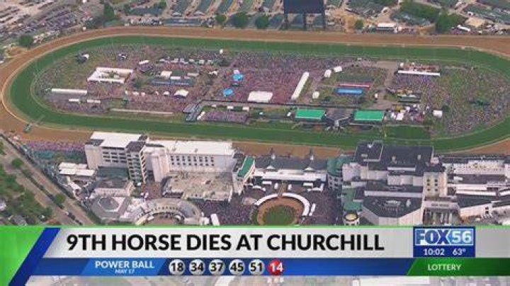 Horse dies at Churchill Downs, 8th recent fatality at home of Kentucky
