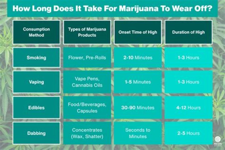 How Long Does It Take? My Lingua Academy