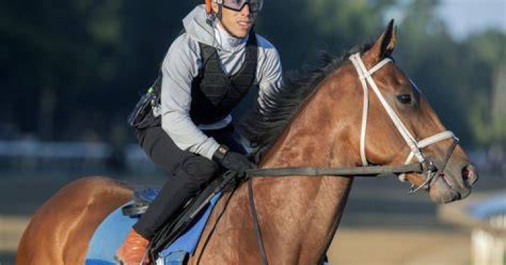 Irad Ortiz Jr "Forte ve a la competencia y va por ella"