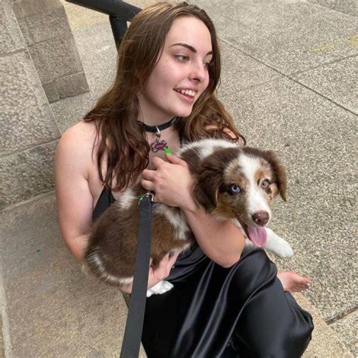 The Tragic Demise of Puppy Girl Jenna