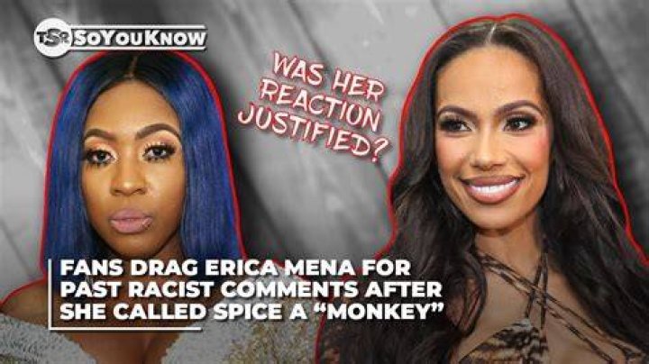 Unveiling The Enigmatic Erica Mena Blue Monkey: Discoveries And Insights